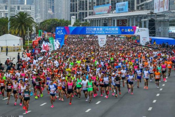 山西省体育馆排球培训班：技术提升与赛事模拟(图1)
